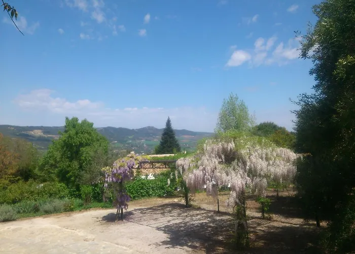 El Campito - Ρόντα